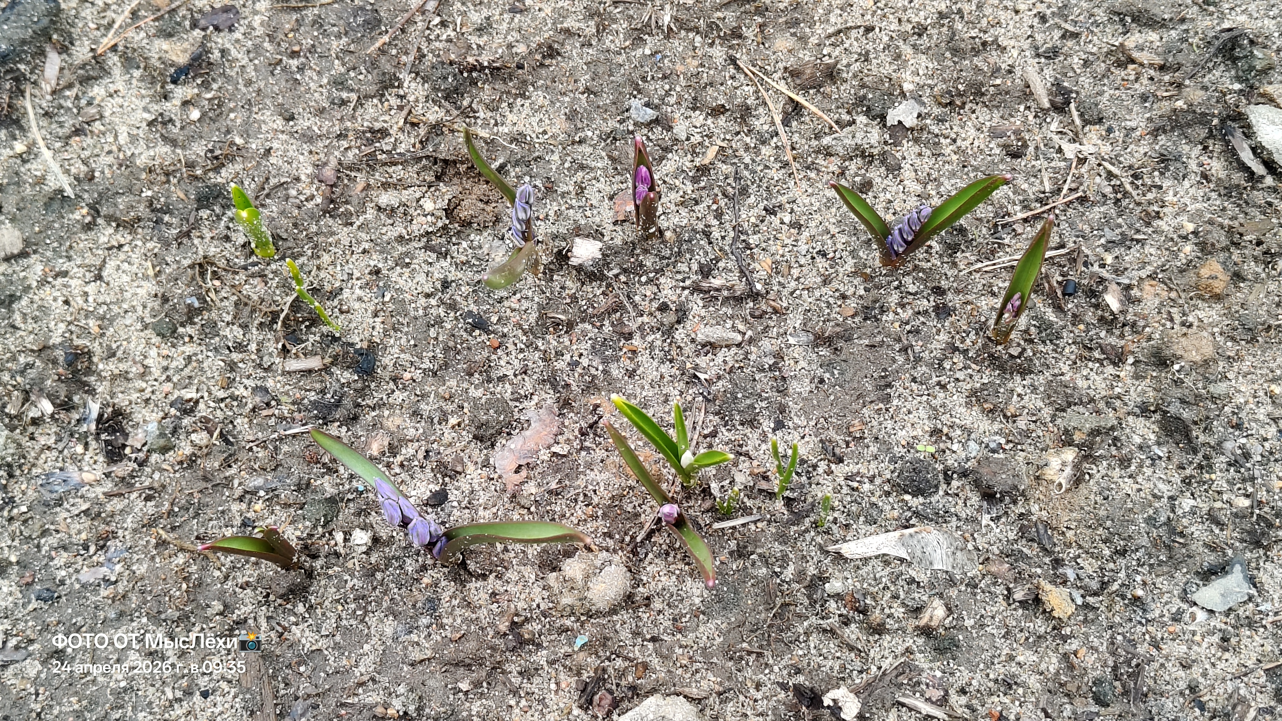 ПОЗДРАВЛЯЮ С ДНЁМ РОЖДЕНИЯ НАТУСЮ ВОВСЕ НЕ ЯГУСЮ 24-04-2026