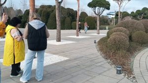 Родня из Владивостока 2026