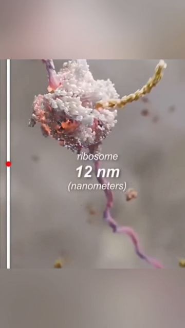 ☸️ От вирусов до атомов.