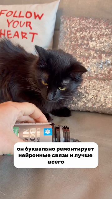 «А мама пьет Ежовик?» — вопрос, который заставил меня задуматься 🧠✨