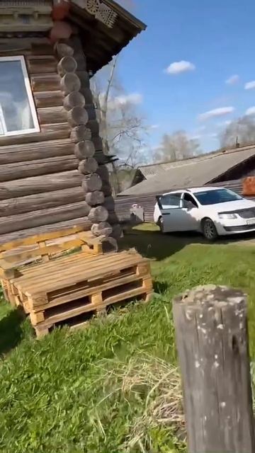 copy_5EEC951C-7354-43FC-A397-291A2B1FDD52