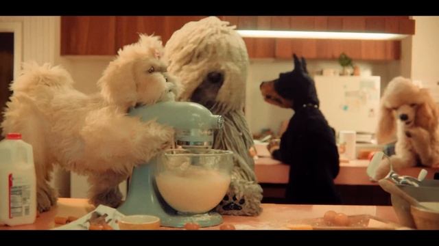 Publix - Best Friend (2026)