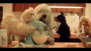 Publix - Best Friend (2026)