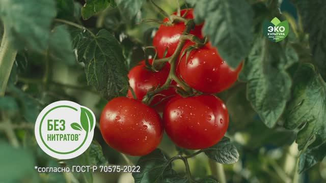 Эко-Культура х Леонид Агутин. Прованс V1. TouchPoint