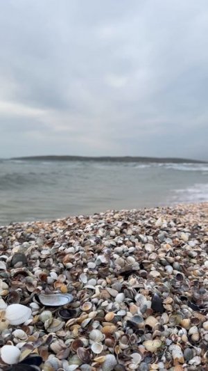 Крым нереально красивый! Такая красота Щелкино Азовское море #крым #rigavillageresort #щелкино