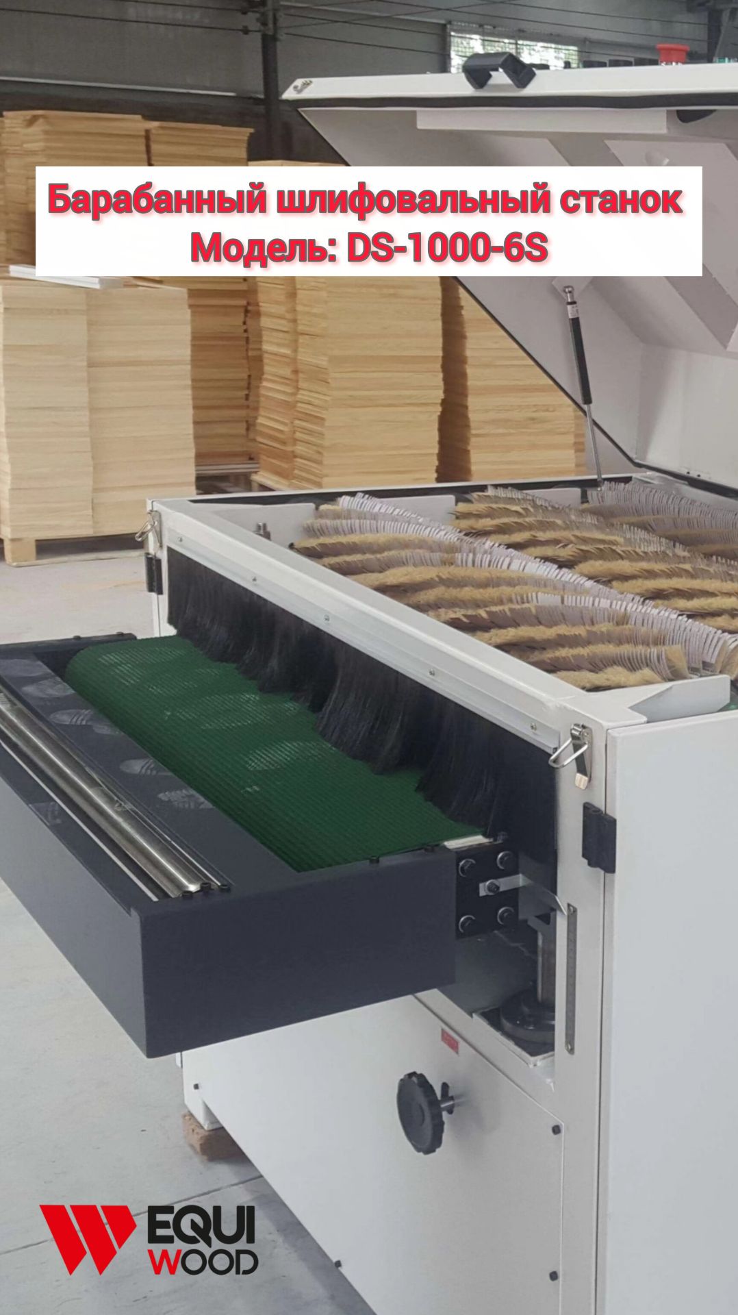 Барабанный шлифовальный станок DS-1000-6S