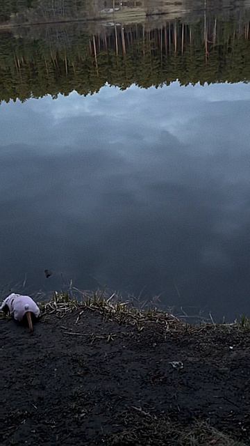 Природа и Веста🤗😍