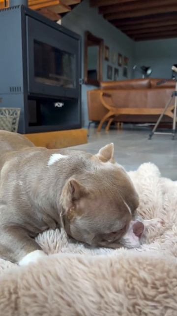 video_2026-03-03_10-06-48