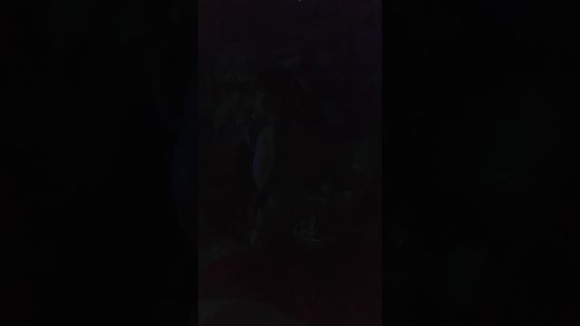 ЛУКАШЕНКО ТВ #₽