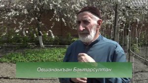 Вай Боахам 24 04 26 автор Холохоева Пятимат