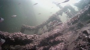 1000015988.mp4Волга гл.2м.24.04.2026г.