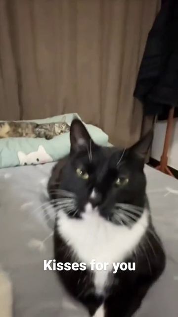 Поцелуйчики для тебя