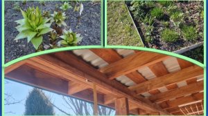 Огород после заморозка. Как придумали крепление для уличных штор на веранде