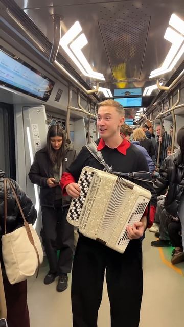 Пели всем вагоном #баянистаюша #баянист #гармонист #баян