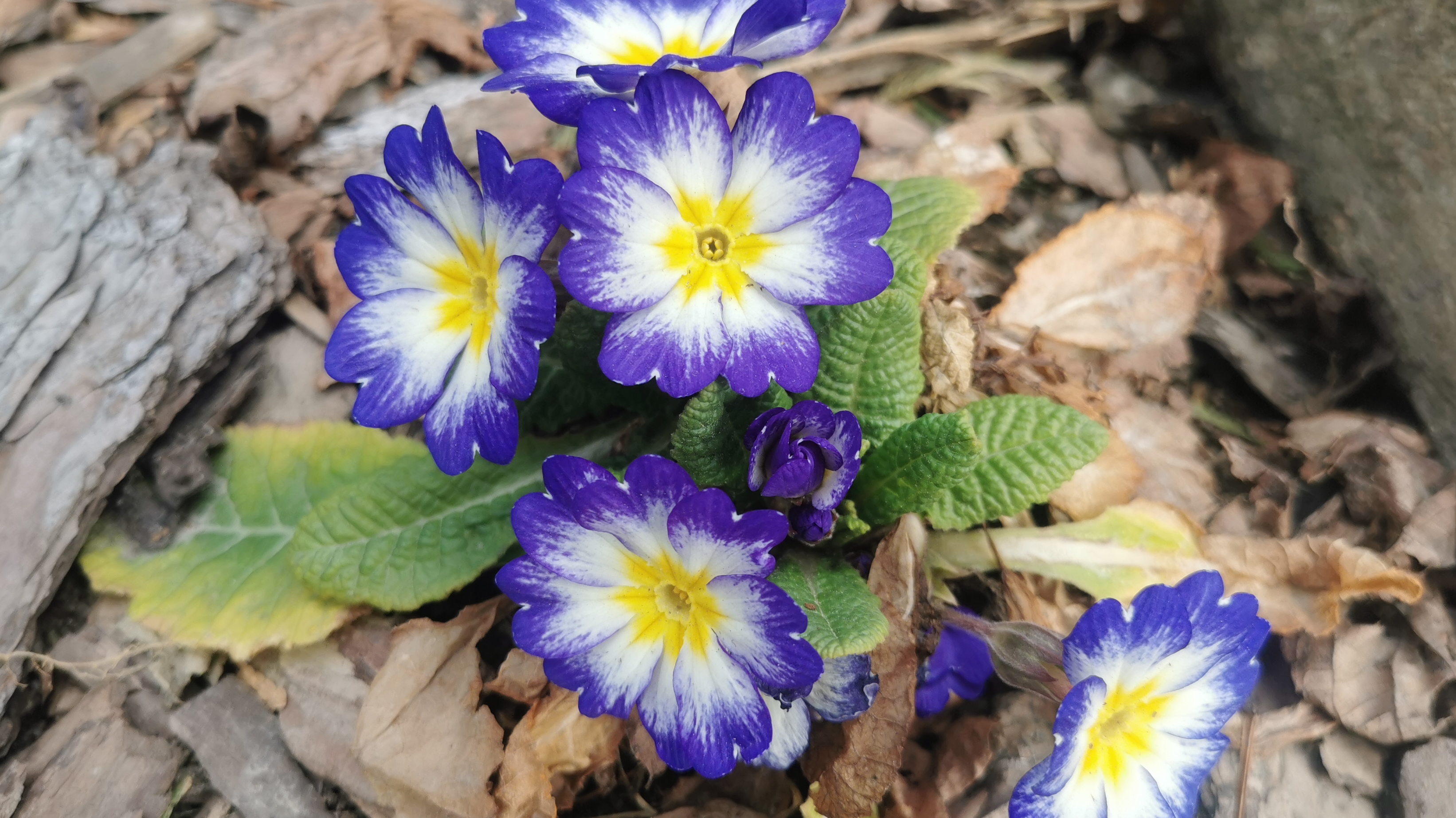 Холодная третья декада апреля. Спасаемся от ветров. 24.04.2026 восток Ленинградскай области