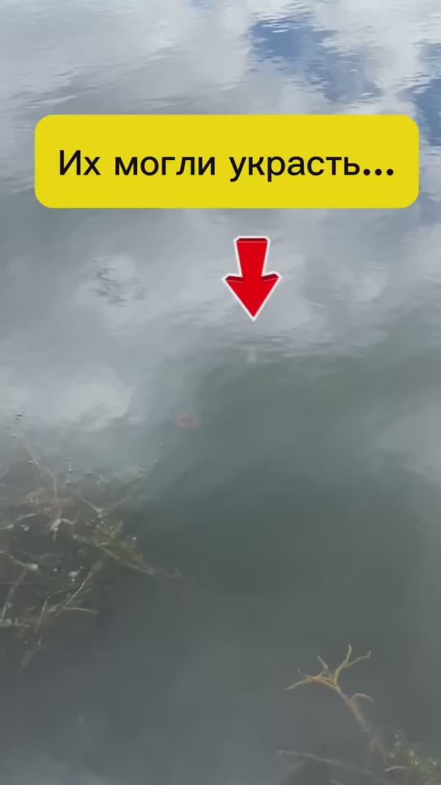 Их могли украсть...