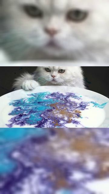 Создаем Галактику в тарелке молока 🐾🌌 (Истер-Алхимик) | Milk & Soap Magic Experiment #shorts #art