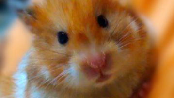 Мои увлечения2