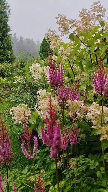 Озеленение. Ландшафтный дизайн | Анна Мер