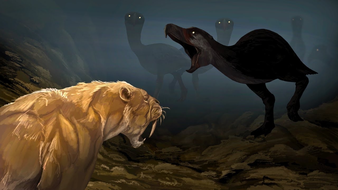 Что Произошло, Когда Столкнулись Два Континента