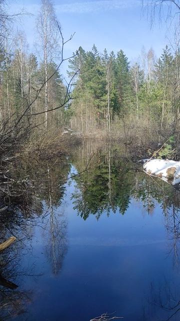 23 Апреля 2026