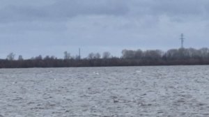 И снова на набережной Северной двины