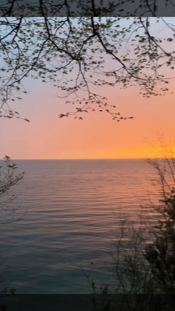 Привет бабуль! Закаты на море shorts