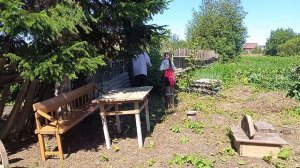 Выходные в деревне вместе с семьей (архив июль2025)