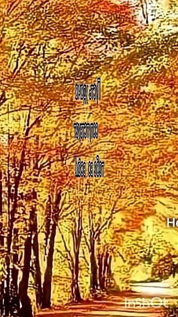 ПУСТЬ ДЕНЬ БУДЕТ ПОЛОН РАДОСТИ.🎉☁️🎈🎈🎈🌹🌹🌹🌹🍬🍬🍬