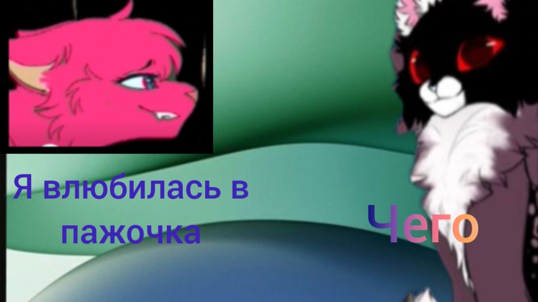 РЕАКЦИЯ НА МИЛАШКУ ЛАПКУ!ЭТО УЖАСНАЯ СЬЮ!