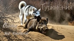 Туркмения. Каракумы. Охота на кабана.