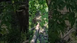 Отдых в душе