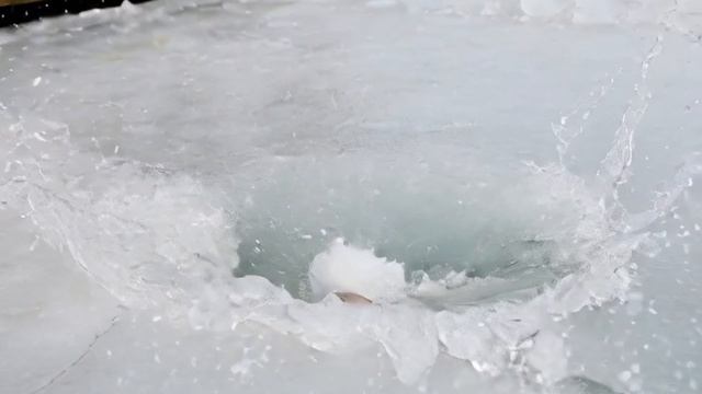 Моменты моей работы 2026