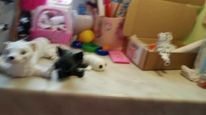 обзор комнаты Айс❤️🍓