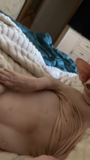 Почему я такой сексуальный?