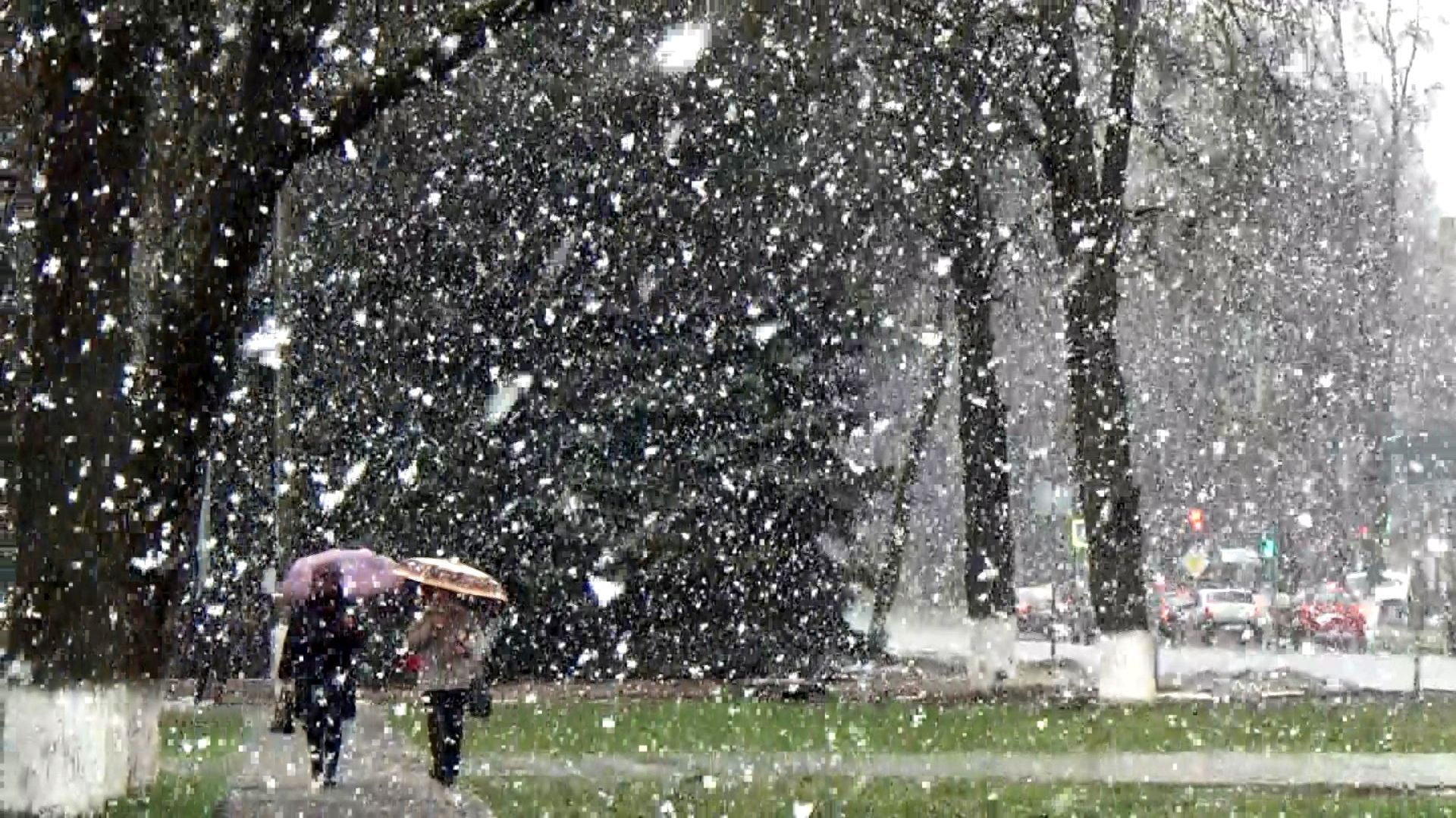 24.04.2026 Крупные хлопья мокрого снега в городе Вязники