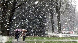 24.04.2026 Крупные хлопья мокрого снега в городе Вязники