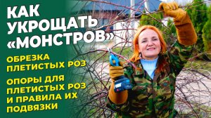 ВЕСЕННЯЯ ОБРЕЗКА РОЗ. ОПОРЫ ДЛЯ ПЛЕТИСТЫХ РОЗ И ПРАВИЛА ПОДВЯЗКИ. ОБРЕЗКА ПЛЕТИСТЫХ РОЗ