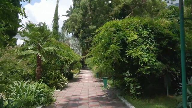 Пансионат «Пандора» Гагра Абхазия - отель на берегу моря #Пандора #пансионат #Абхазия #Гагра #отель