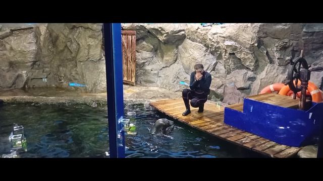 океанариум