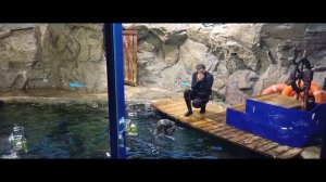 океанариум