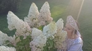 Та Ти - Улетай на крыльях ветра