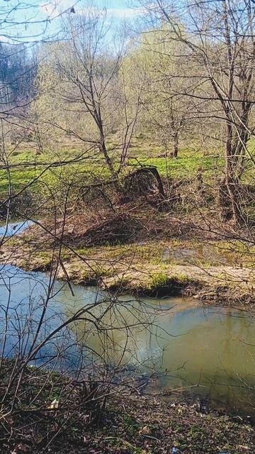 🪶 Как рождается вдохновение