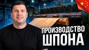Как делают шпон: показываю фабрику полного цикла в Китае. Из-за этого мебель дешевле в разы!