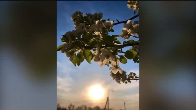 И это весна