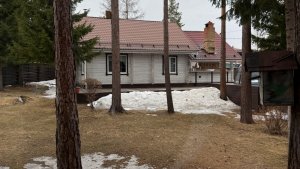 Мои помидоры после ночи -10°. Готовлю теплицу для высадки огурцов и сладкого перца