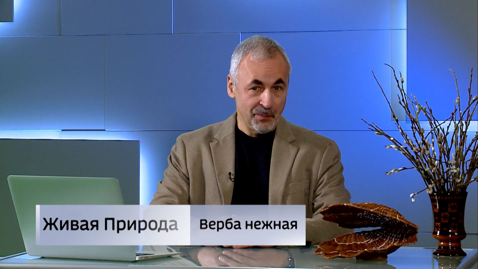 Живая природа. 