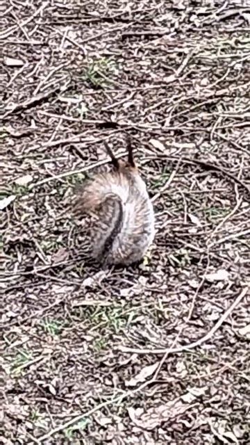 Парк им. Святослава Фёдорова. САО. Москва. 24.04.2026 г.