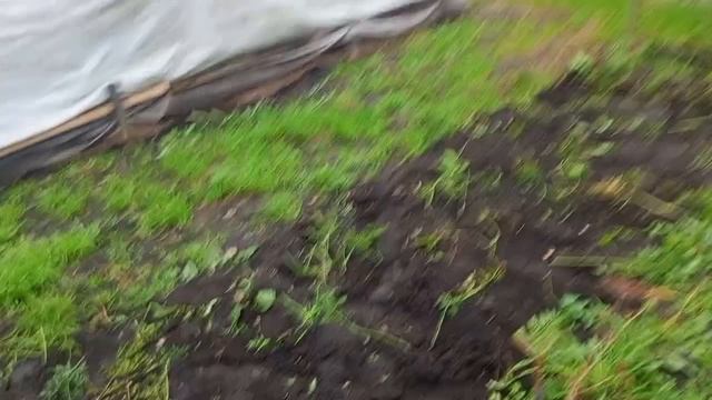 ЛИФТ ПРОЕХАЛ МИМО, ПЛОВ ВКУСНЫЙ