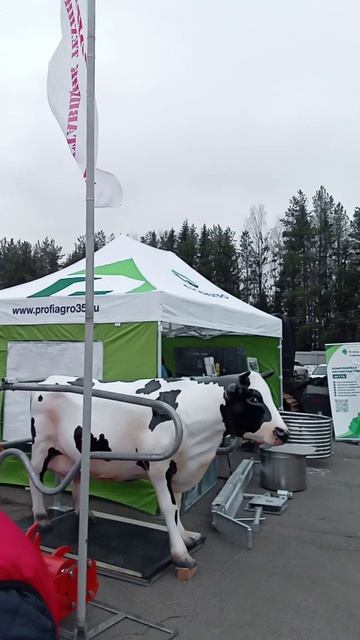 Выставка сельхозтехники Агровятка 2026 г. Киров сильный ветер